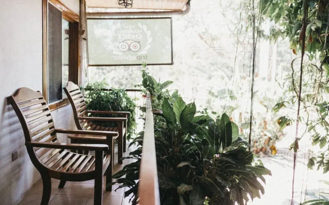 Hotel Javy