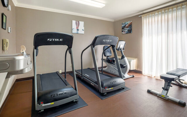 Quality Inn & Suites Anaheim At The Park