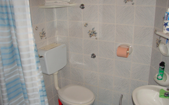 Apartments and rooms Roza