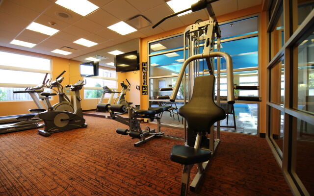 Best Western Plus Bathurst Hotel & Suites