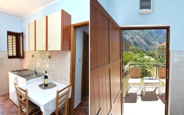 B & M Apartments
