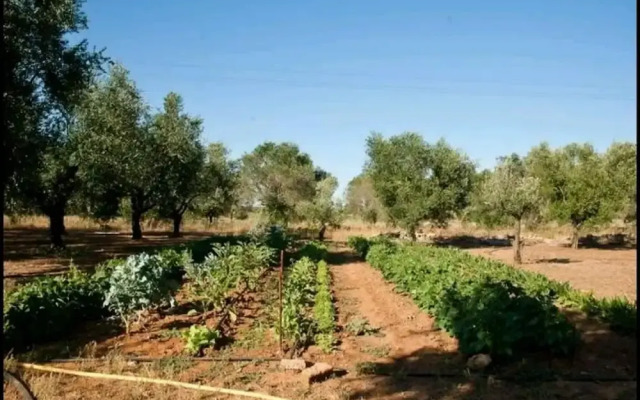 Bed and Breakfast La Liccina