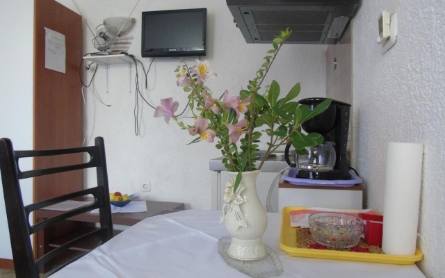 Studio apartment Stjepan - panoramic view: SA1 Motovun, Istria