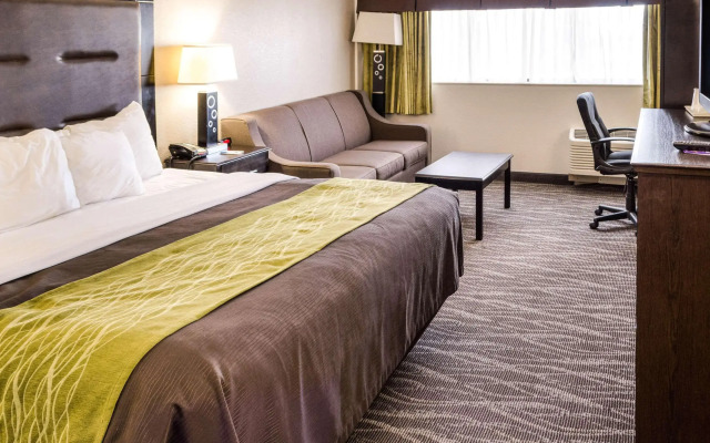 Comfort Inn Downtown Charleston