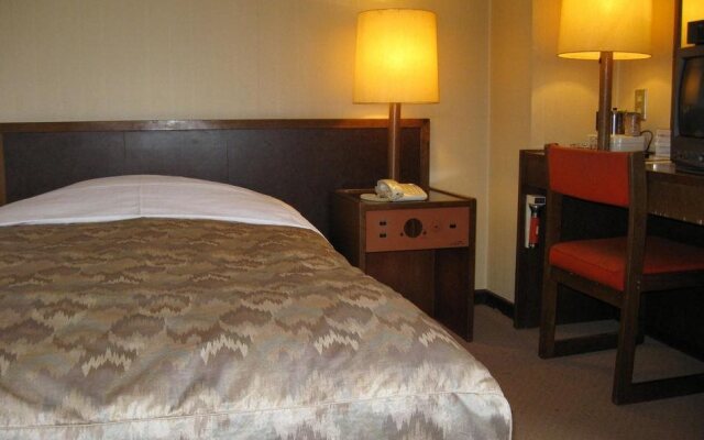 Mizusawa Sun Palace Hotel