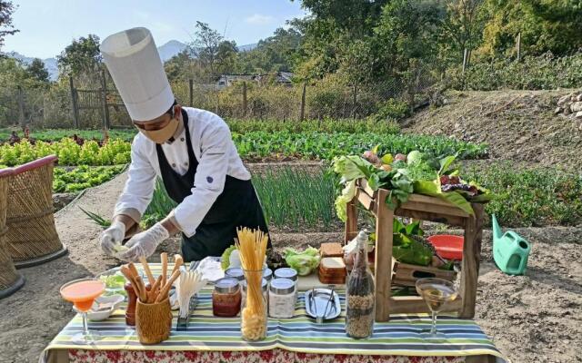 Paatlidun Safari Lodge, Jim Corbett