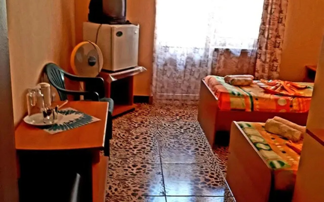 Rodnichok Guest House