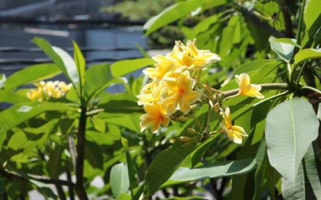 Beachbums Berawa Hostel