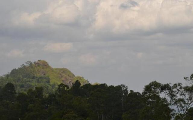 The Rock Face