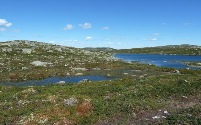Furulie Cabin - Flå