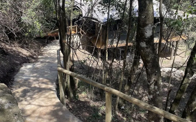 Olesamara Collection