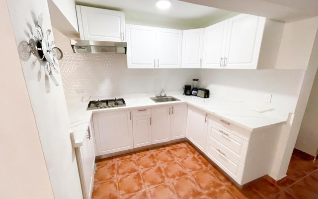 Palmera Penthouse - Scv 103881