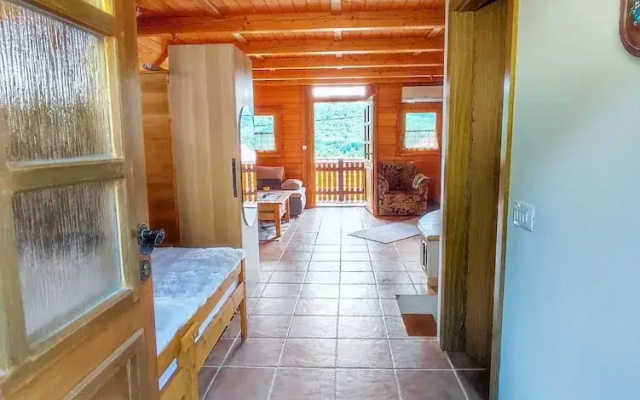 Vineyard cottage Kralj