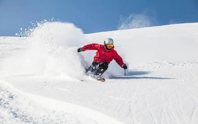 Holiday Niseko Snowbird