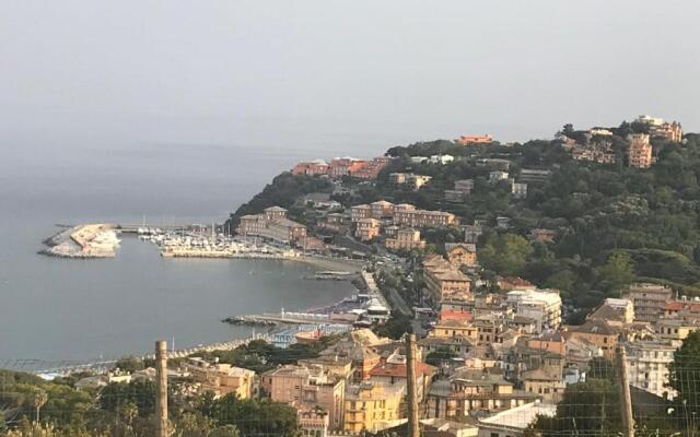 CasaBuca8