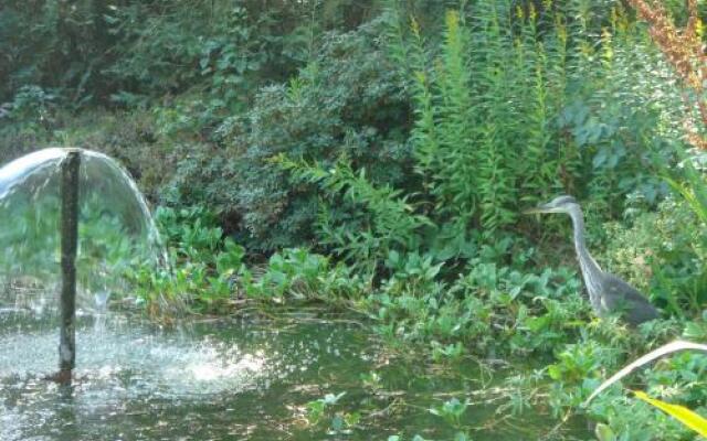 Witte Berken Natuurhotel