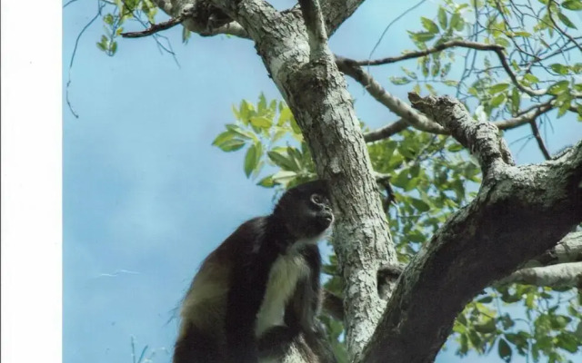 Posada Los Reyecitos