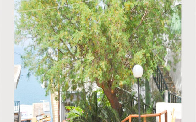 Elounda Apartments