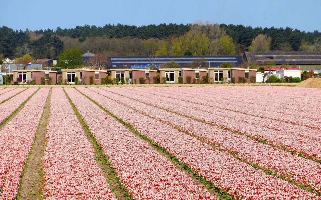 De Wijde Blick