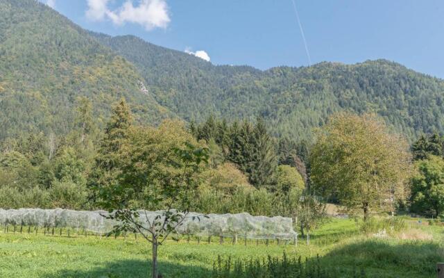 Appartamento Adamello 11