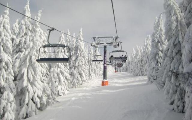 Apartment Kopaonik All Seasons Brzece