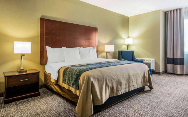 Comfort Inn Atlanta Downtown South