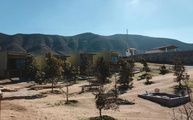 Palta 60 Valle de Guadalupe