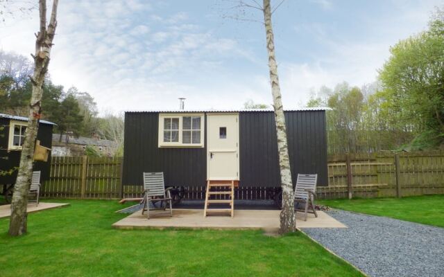 William's Hide