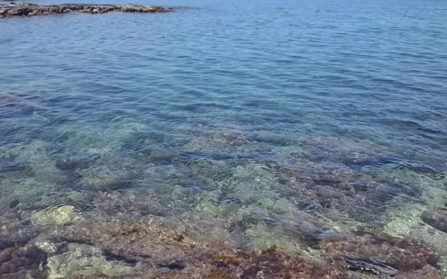 Casalmare