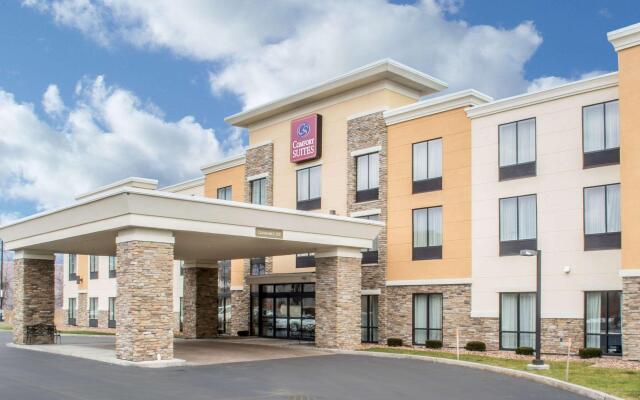 Comfort Suites Cicero - Syracuse North