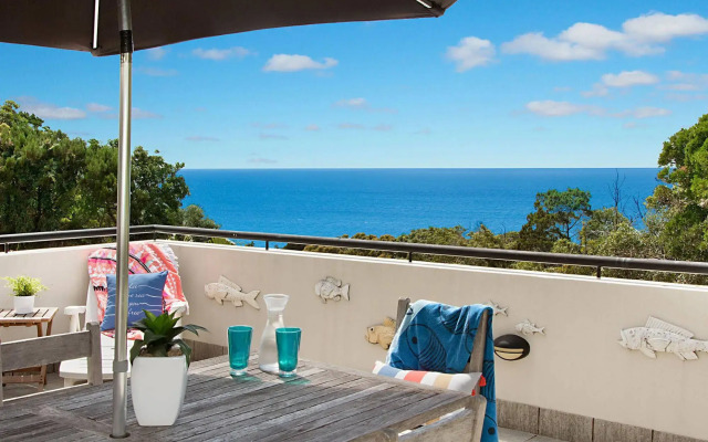 Papillon Coolum