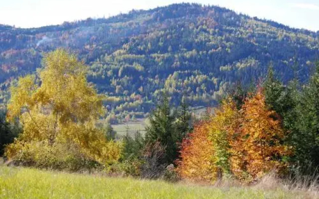 Apartamenty przy Hotelu Żywieckim