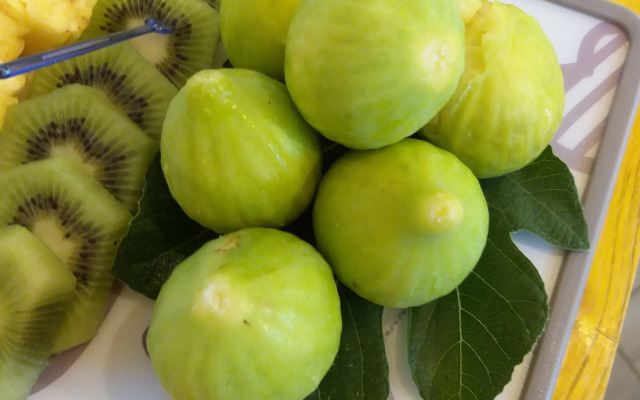 L'Officina di Apollo