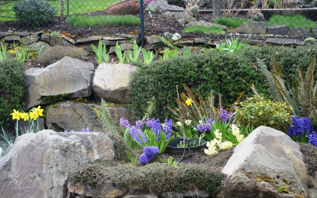 Eagle Rock Bed and Breakfast