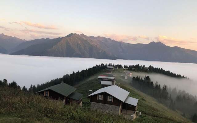 Tanevit Dag Evi