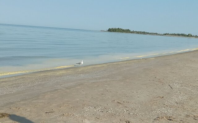 Sauble River Marina & Lodge Resort