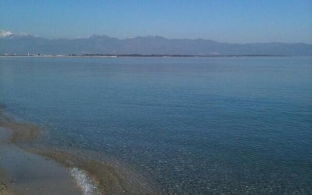 Il Falco e il Gabbiano B&B