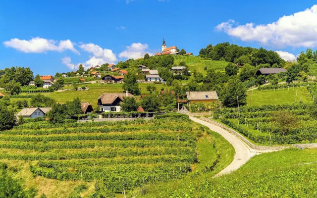 Vineyard Cottage Sunny Hill