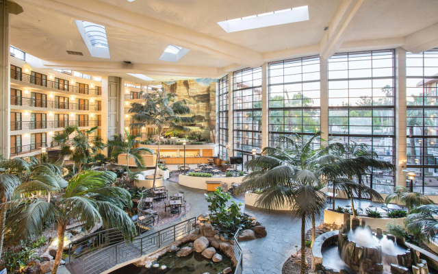 Embassy Suites by Hilton Phoenix Biltmore