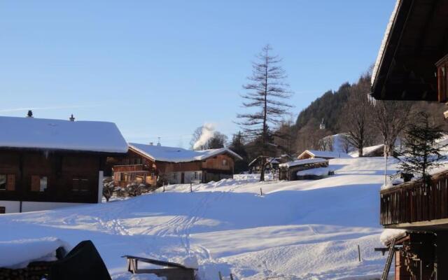 Chalet Engi for 4-6 People