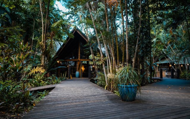 Ferntree Rainforest Lodge