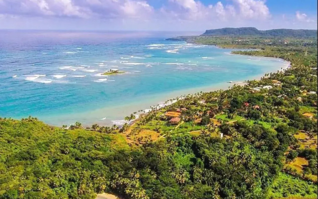 Hostel La Ballena Backpacker