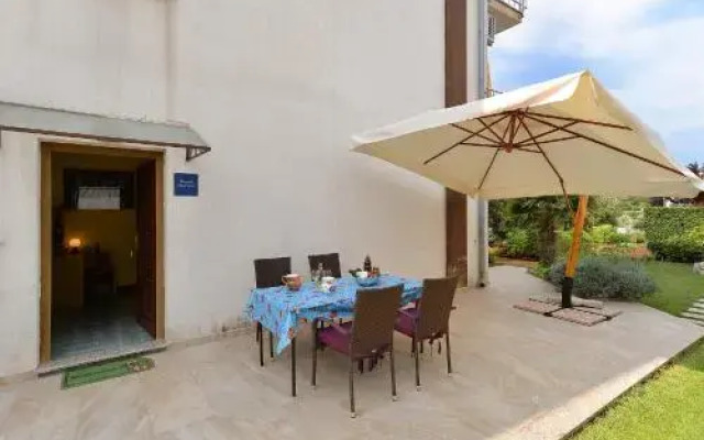 Apartment Violeta 745