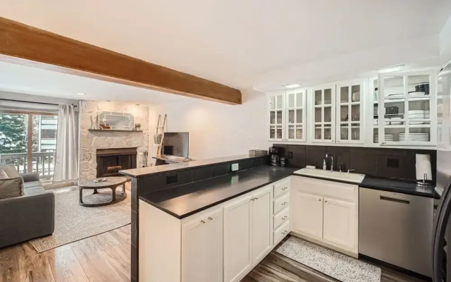 Snowlion Condos 103 2 Bedroom Condo