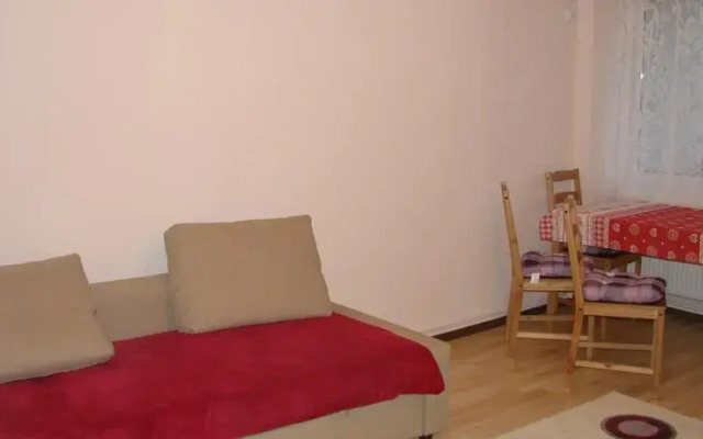 Friendly central apartment