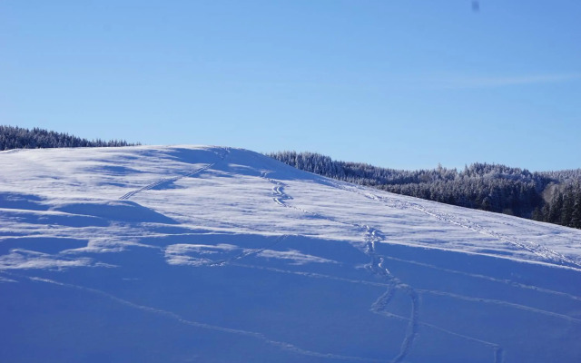 Wanderlust - Thüringer Wald, Rennsteig, Finsterbergen