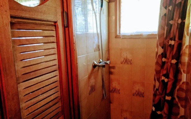 Alpine Chalet La Conchette