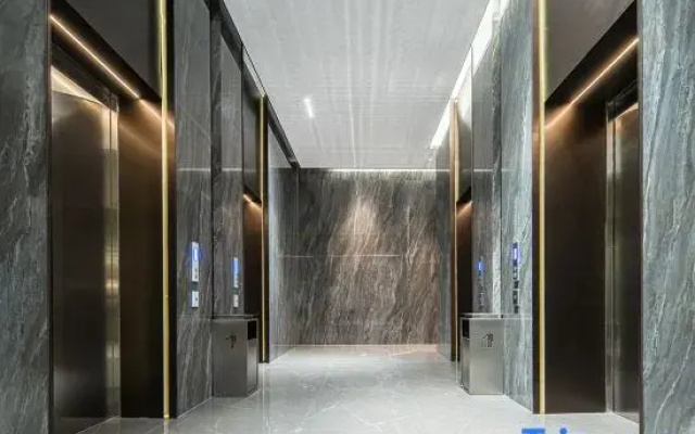 Selected Platinum Hyatt Hotel