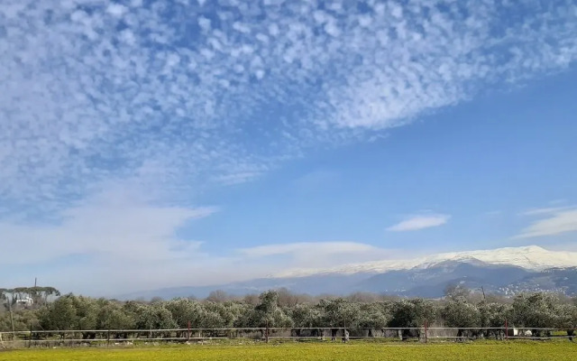 The Ranch - Lodge & Equestrian Center