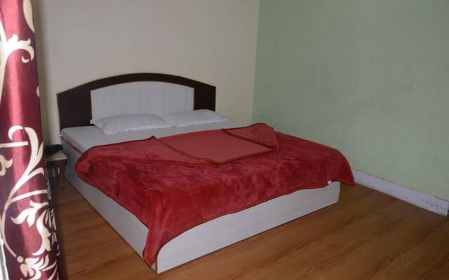 Hotel Shimla View